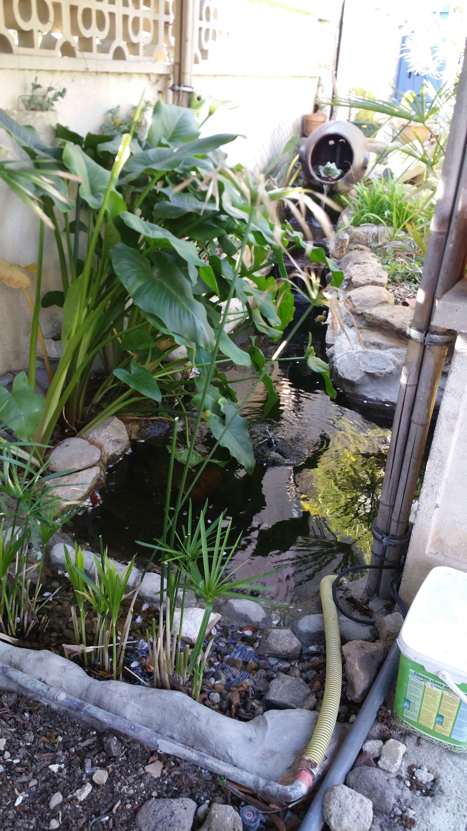 Estudio Independiente Saint-Victoret 200101