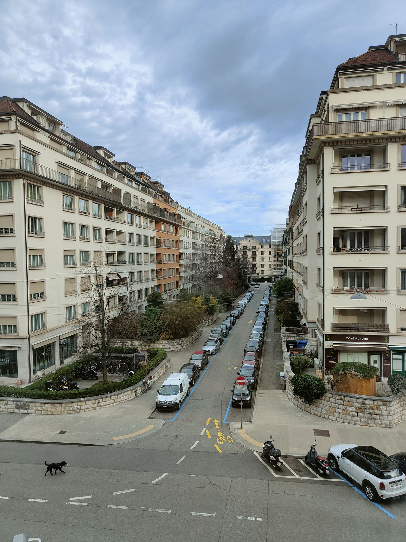 Estudio Independiente Genève 263776