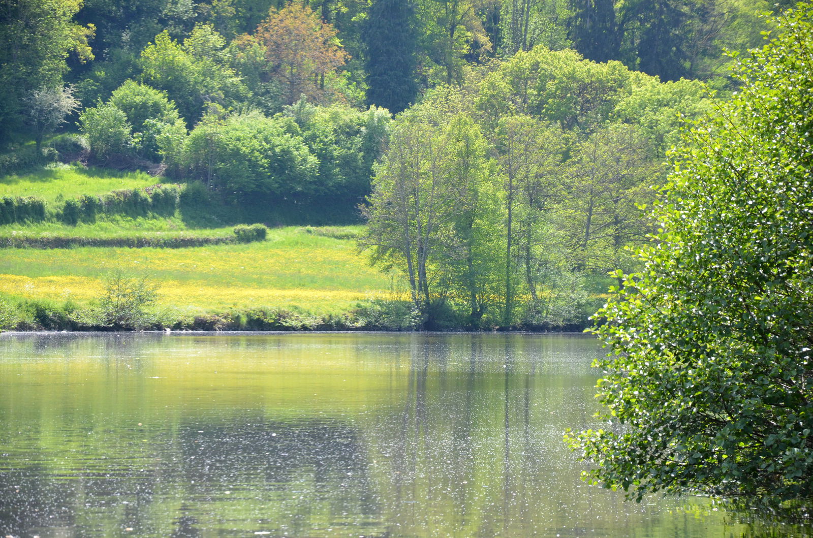 Estudio Independiente Chambon-sur-Voueize 264603