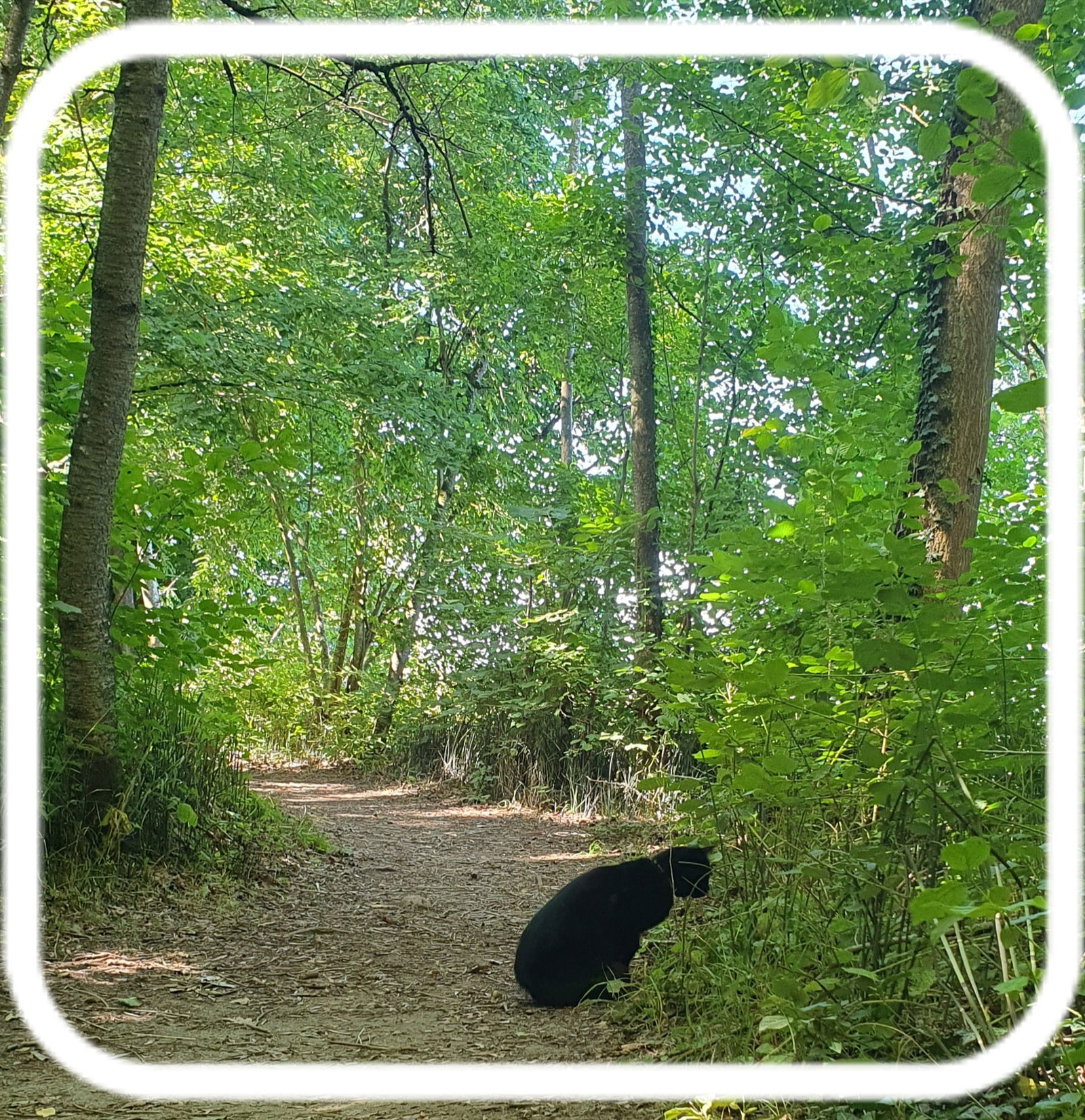 Toda La Casa Cheyres-Châbles 646831