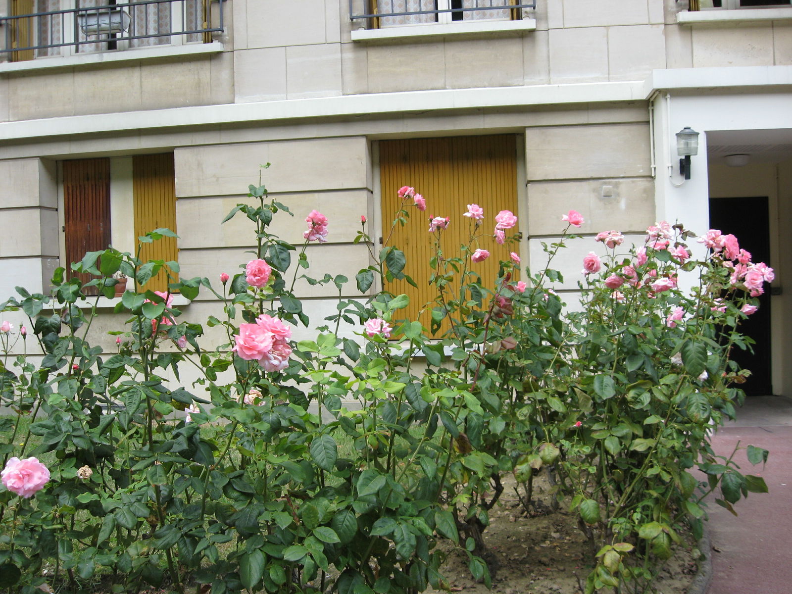 Estudio Independiente Versailles 249629