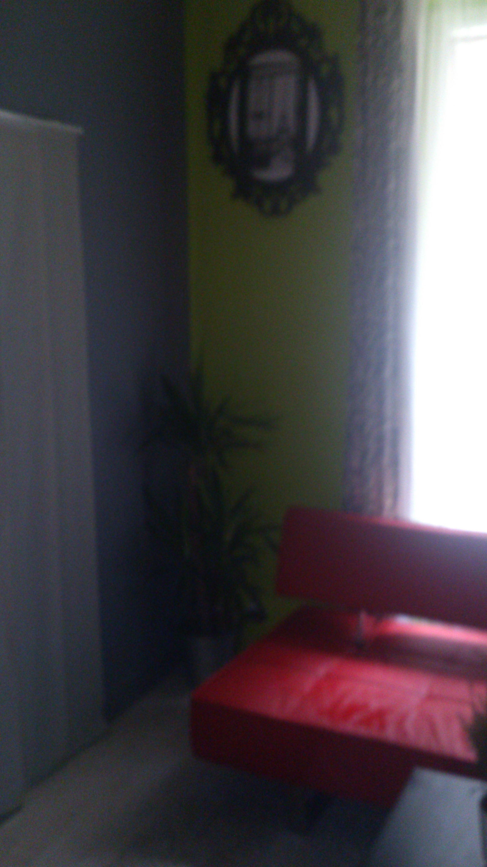 Estudio Independiente Paris 76022
