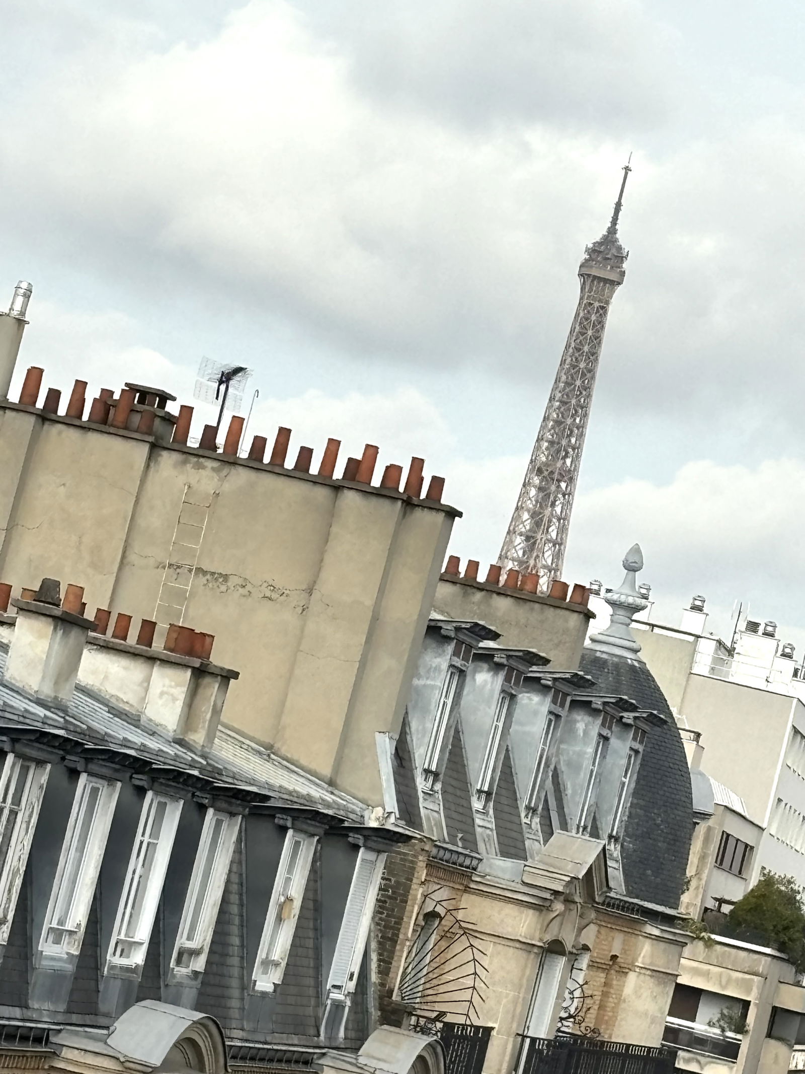 Estudio Independiente Paris 7530