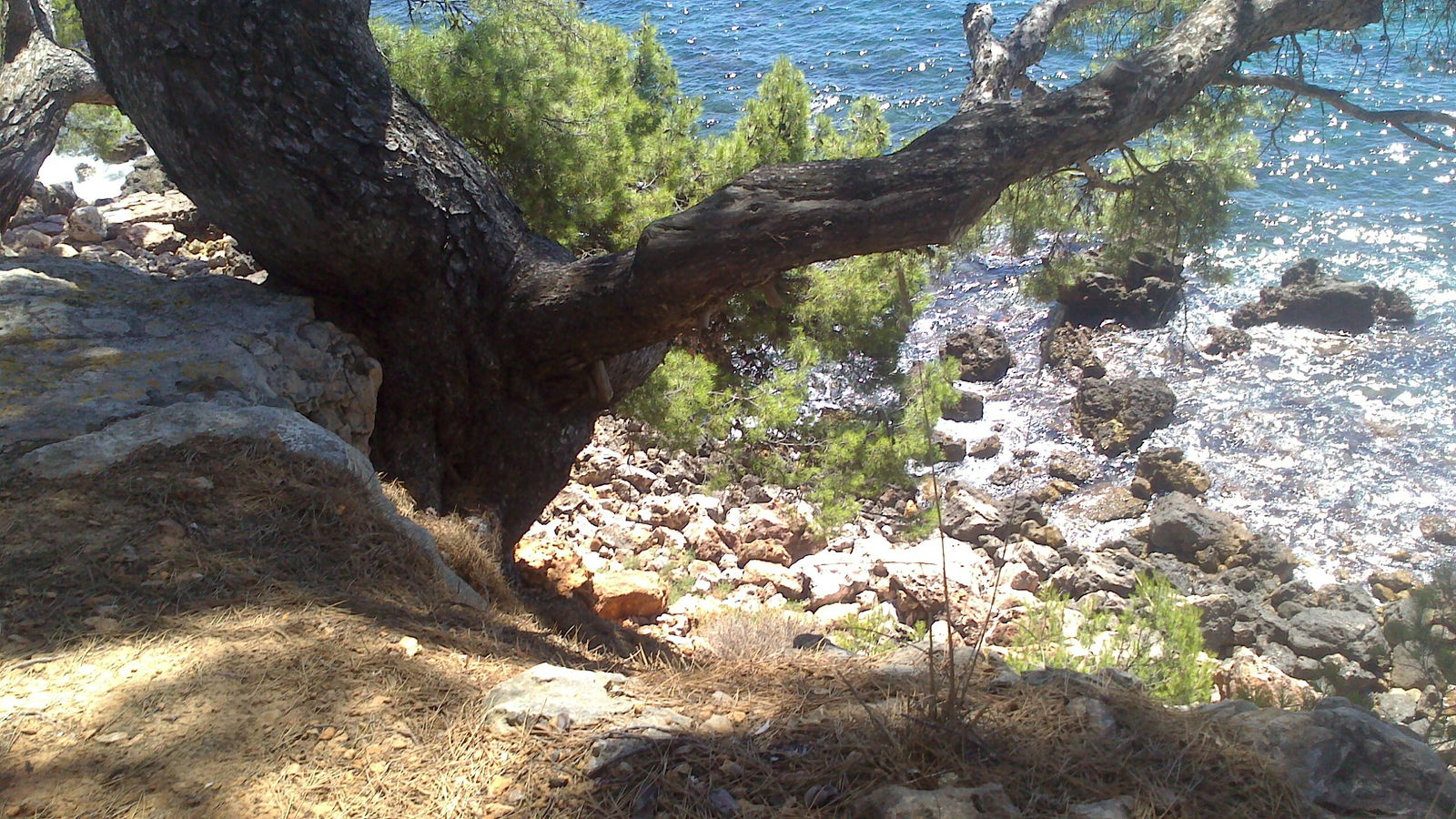 Estudio Independiente Bandol 46326