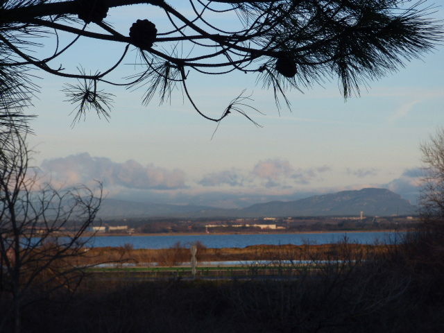 Estudio Independiente Carnon plage 89606