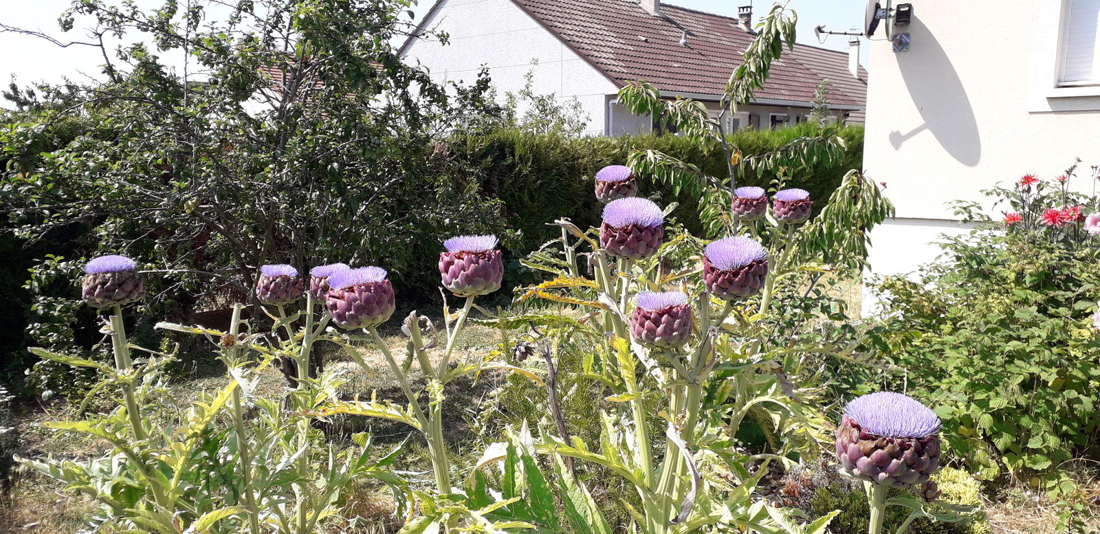 Colocación Démouville 59895