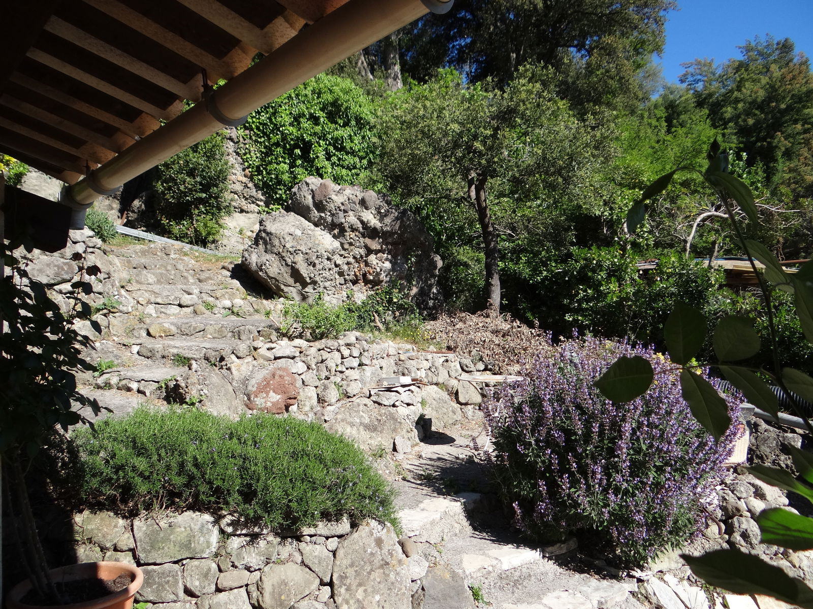 Estudio Independiente Biot 206679