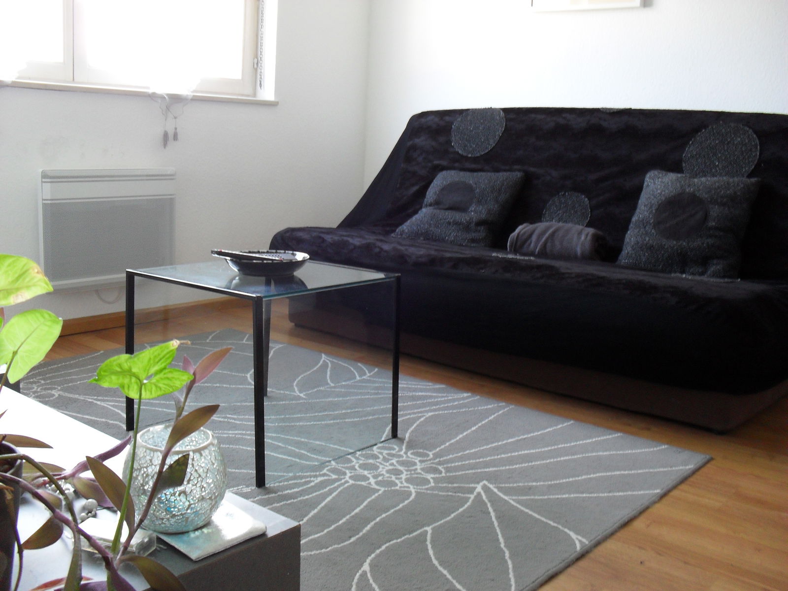 Estudio Independiente Strasbourg 245099