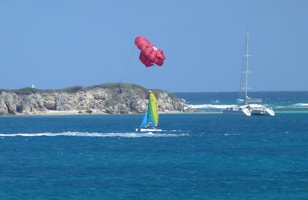 Estudio Independiente undefined 124377