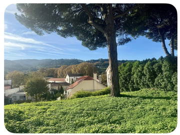 Logement Entier Colares 635801-12