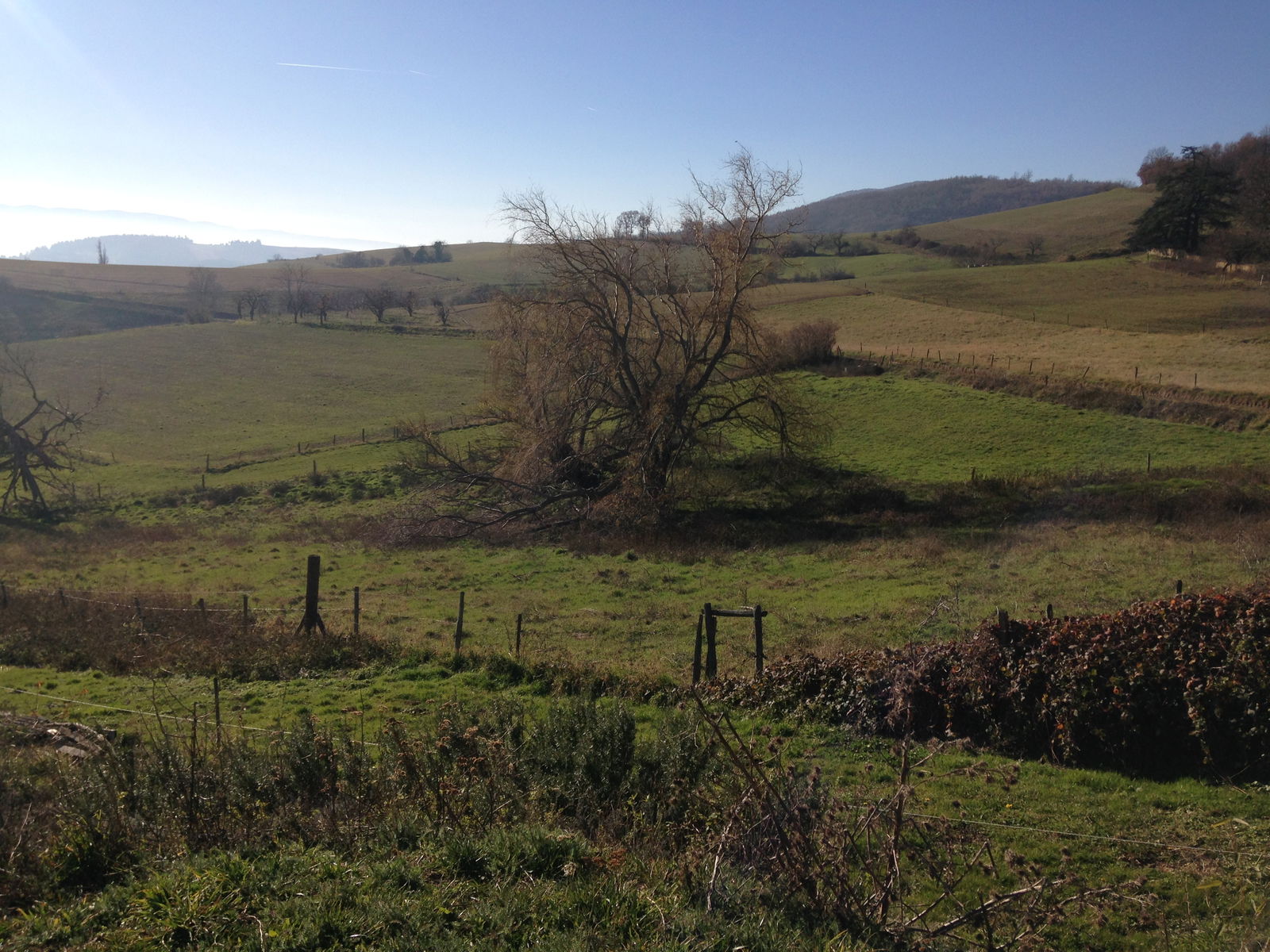 Estudio Independiente Chaussan 231777