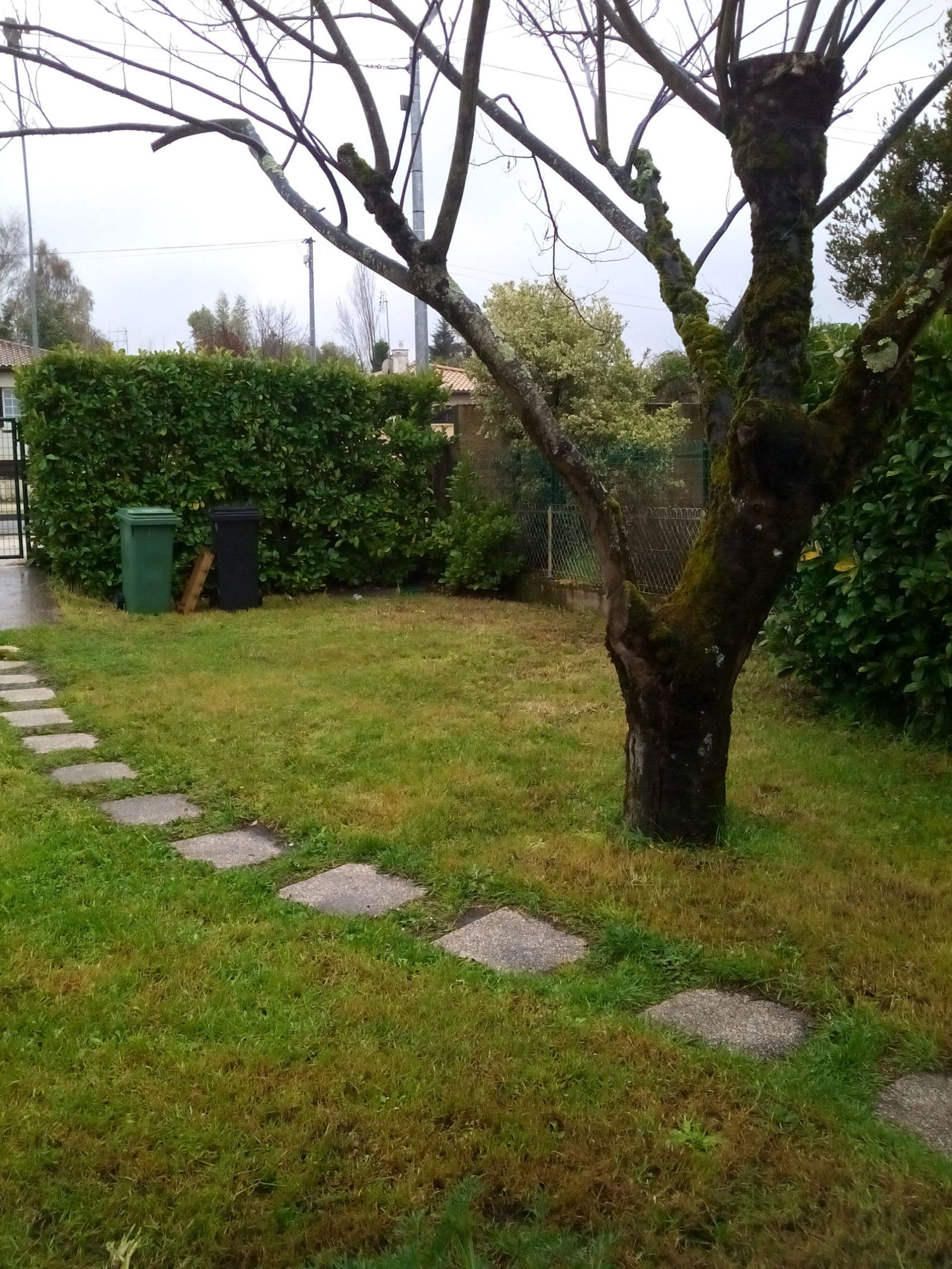 Estudio Independiente Saint-Médard-en-Jalles 22319