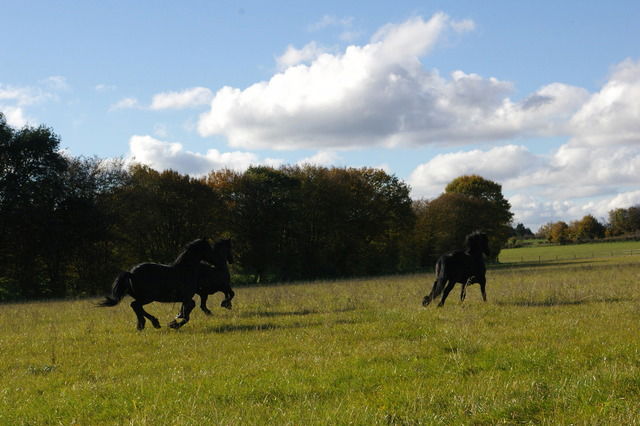 Estúdio Independente Maubeuge 27521