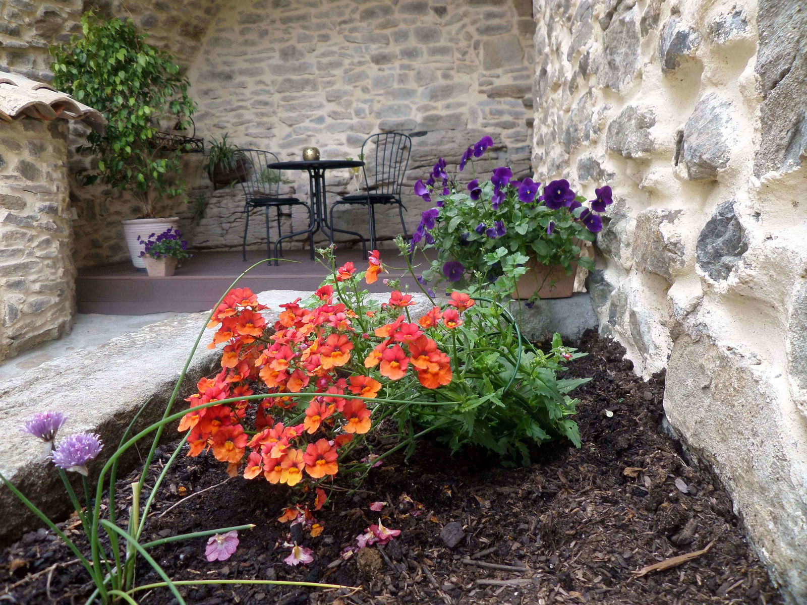 Estudio Independiente Saint-Étienne-de-Fontbellon 91879