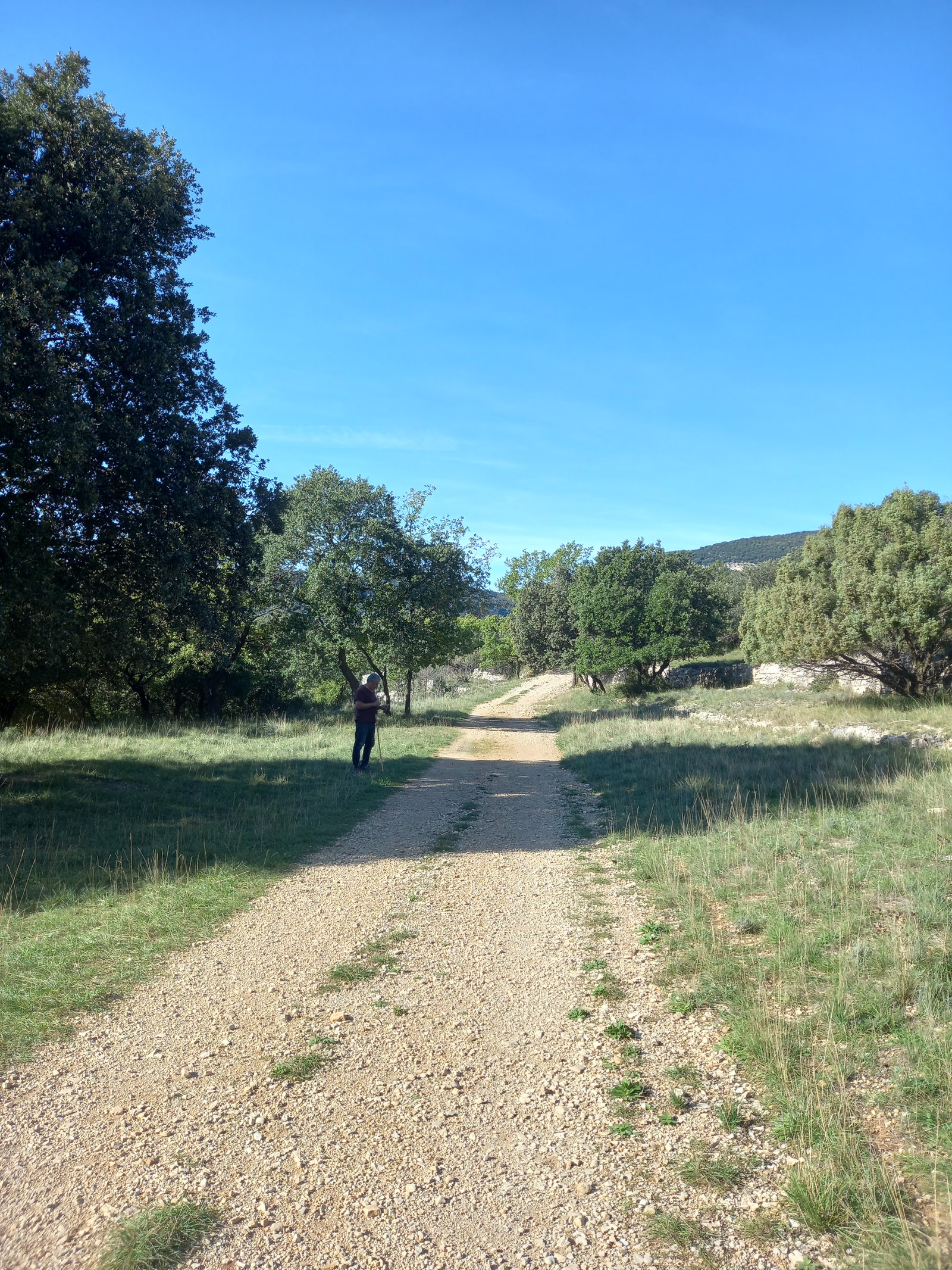 Alojamento Partilhado Soubès 629109