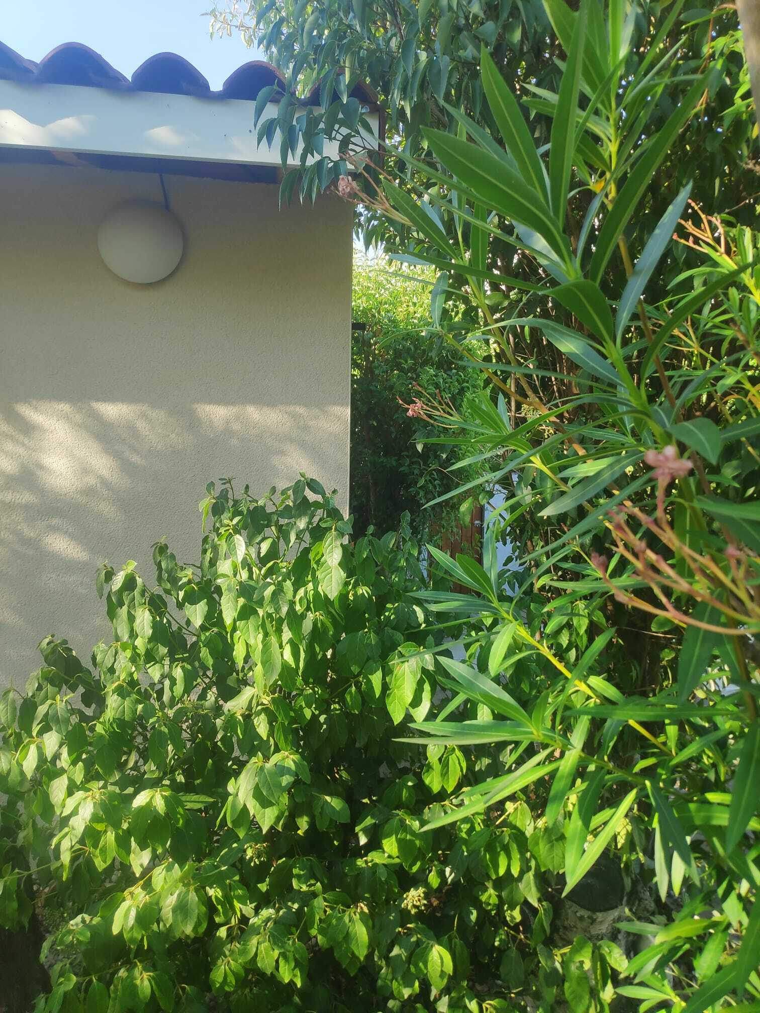 Estudio Independiente Toulaud 219096