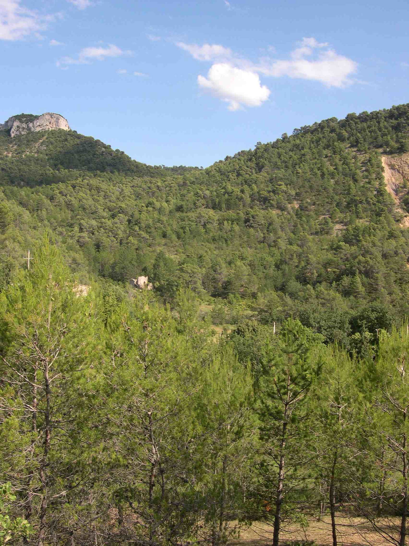 Habitaciones De Huéspedes Propiac 70781