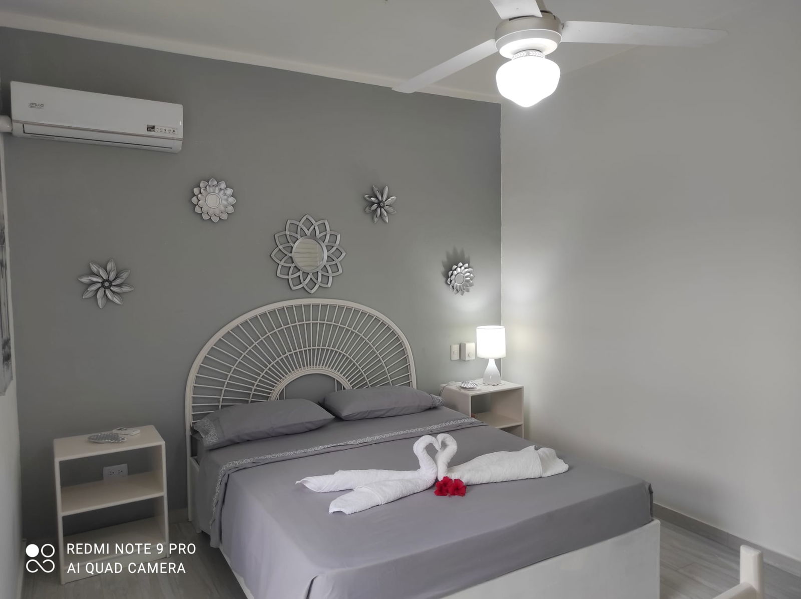 Estudio Independiente Dominicus 114470