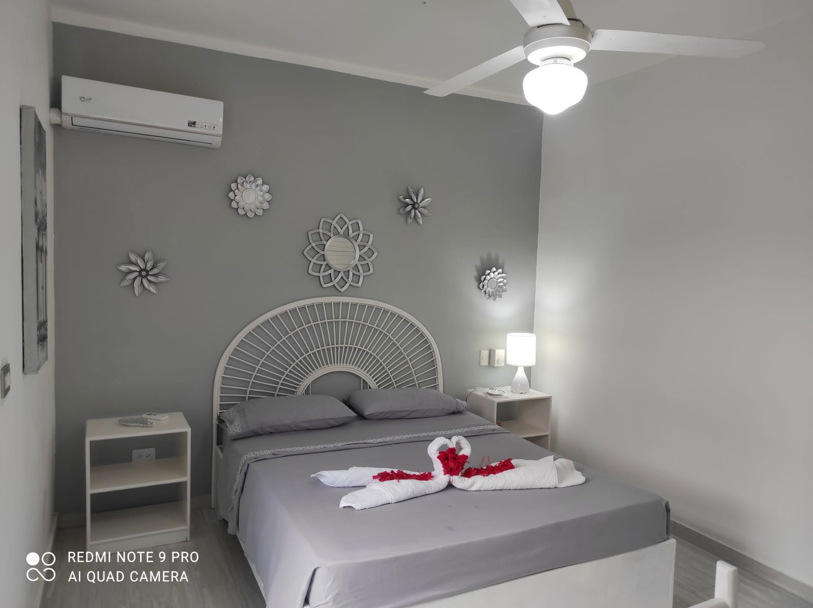 Estudio Independiente Dominicus 114470