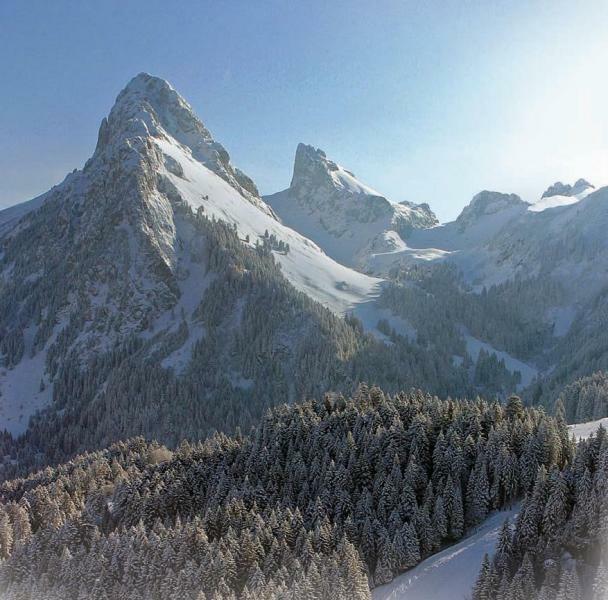 Estudio Independiente Thonon-les-Bains 148383