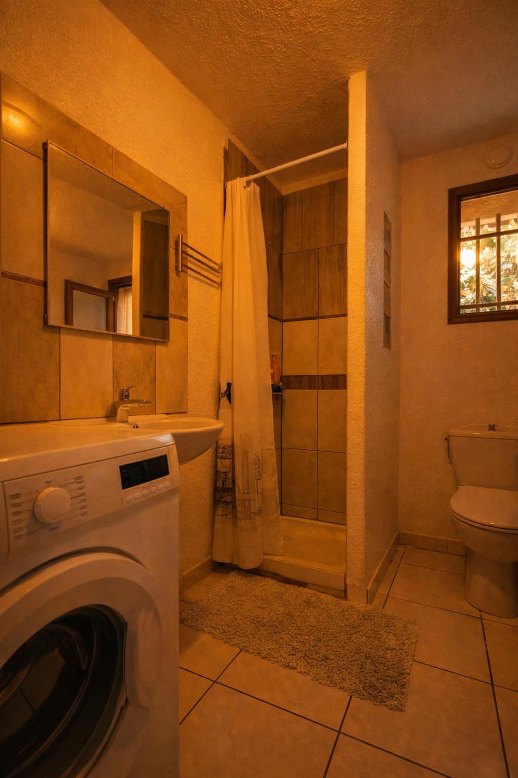 Colocación Ornex 254278