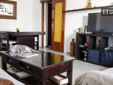 Chambre Chez L'habitant València 84145-8