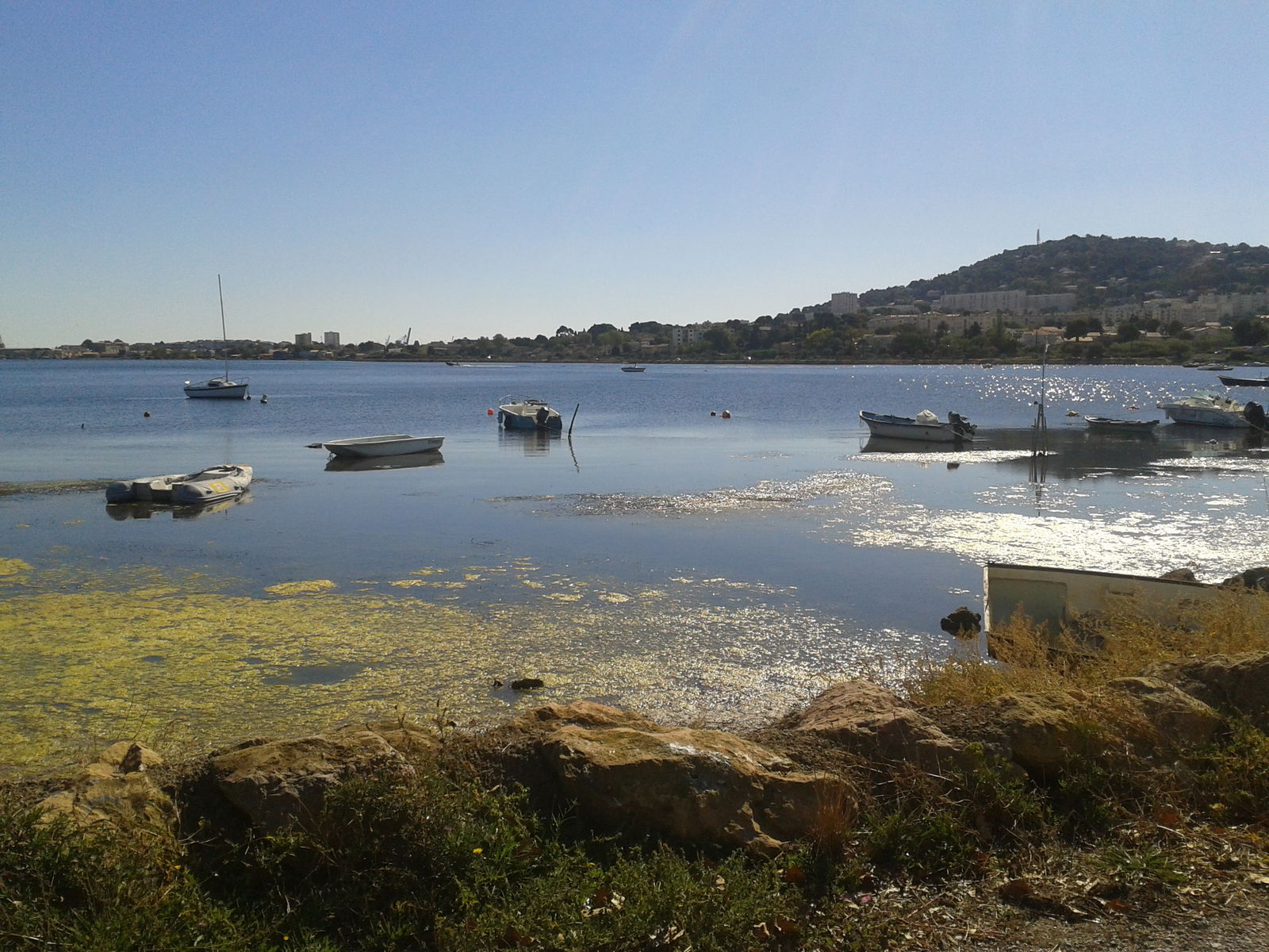 Colocation Sète 149194