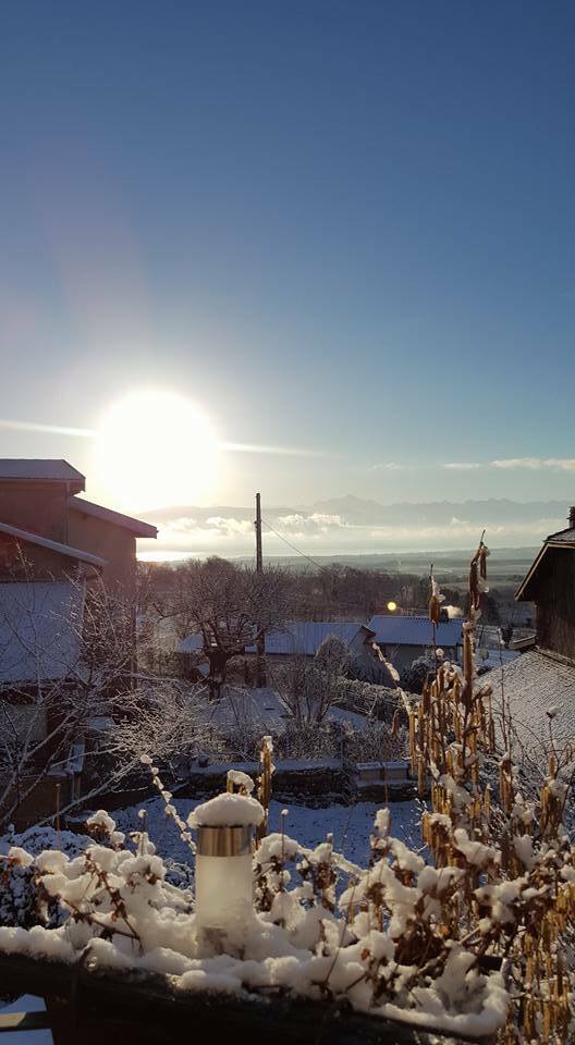 Hjemmeophold Grilly 149464