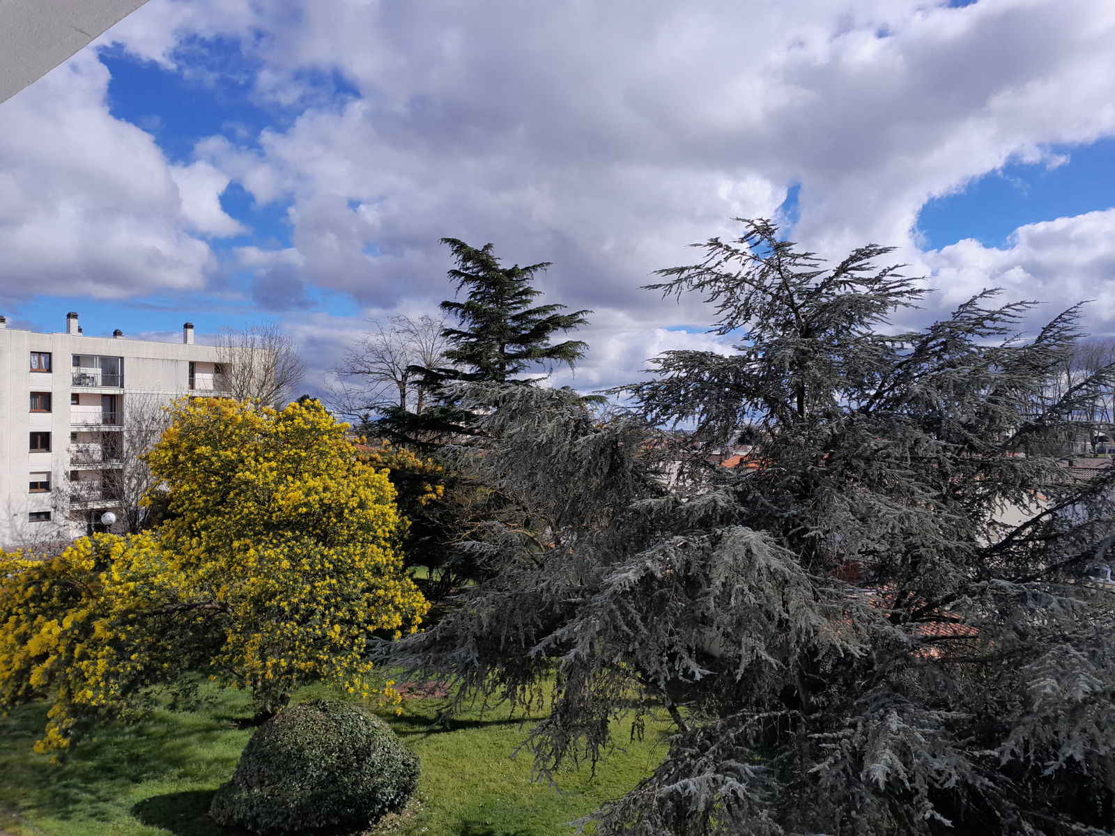 Colocation Bordeaux 456847