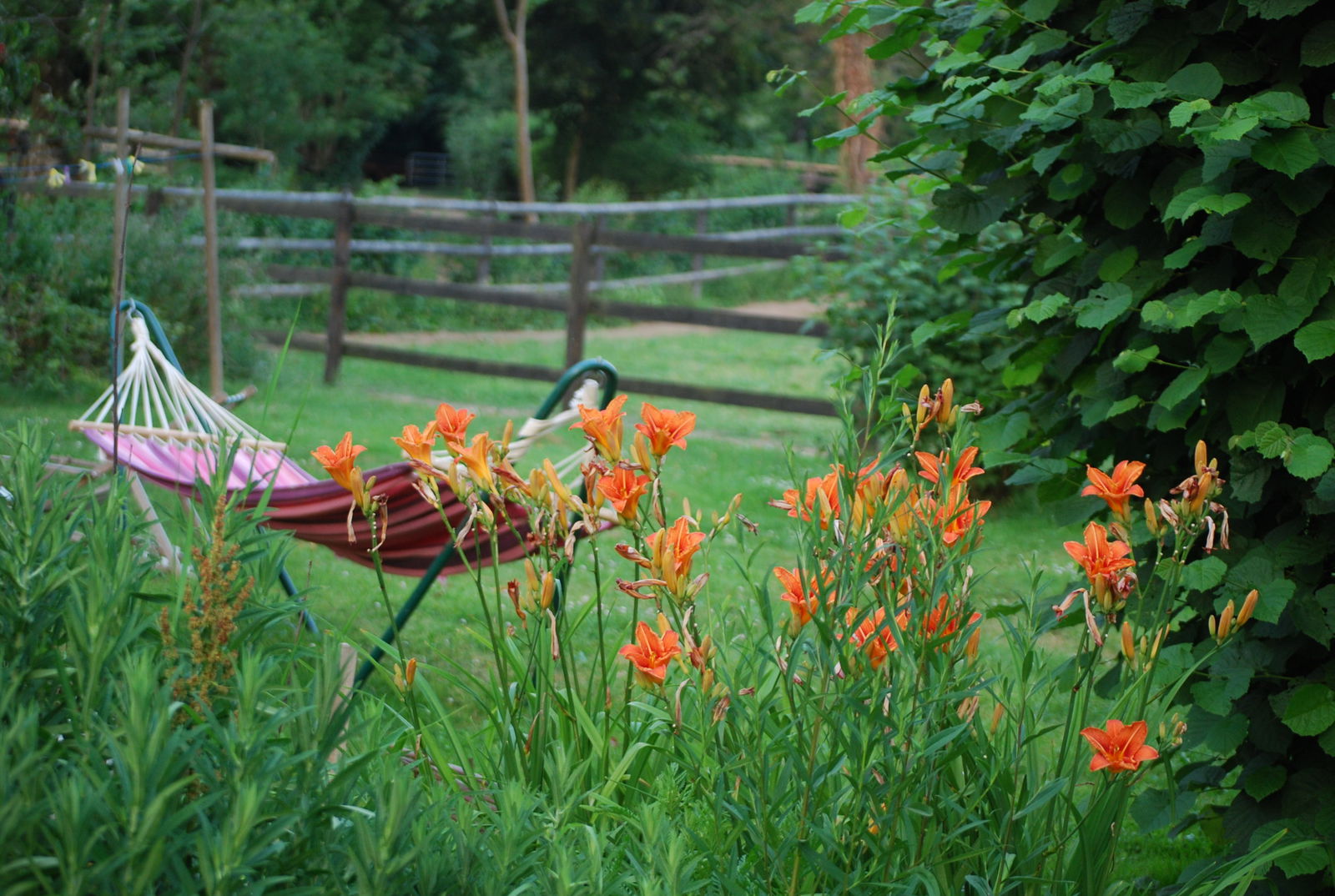 Independent Studio Normandie 151278