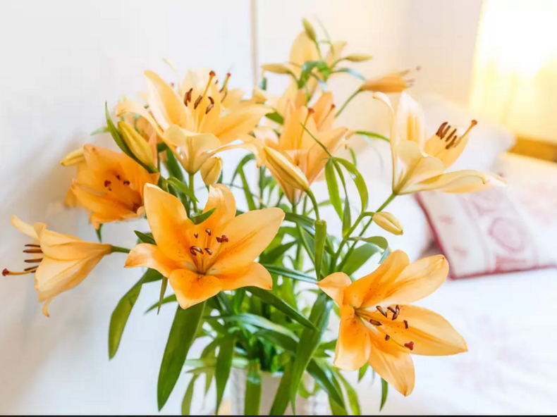 Homestay Paris 153189-2