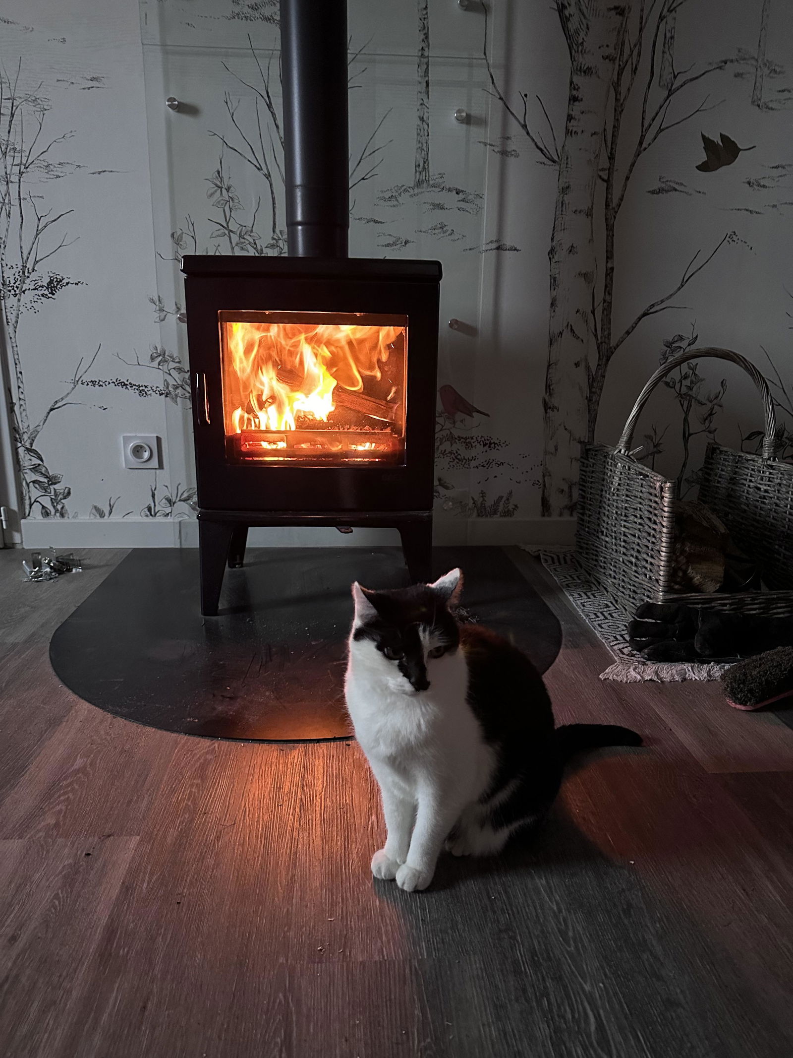 Hemvistelse Mauges-sur-Loire 475671