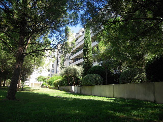 Colocation Montpellier 12483-4