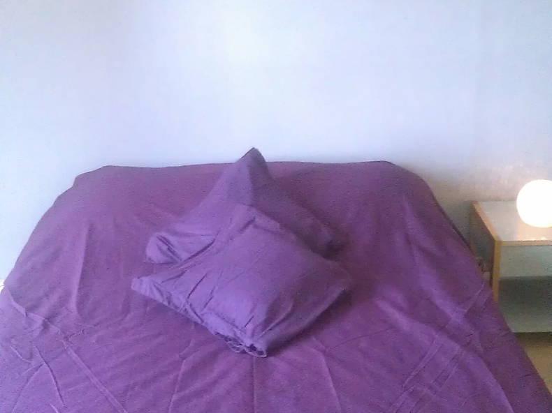 Homestay Paris 71533-4