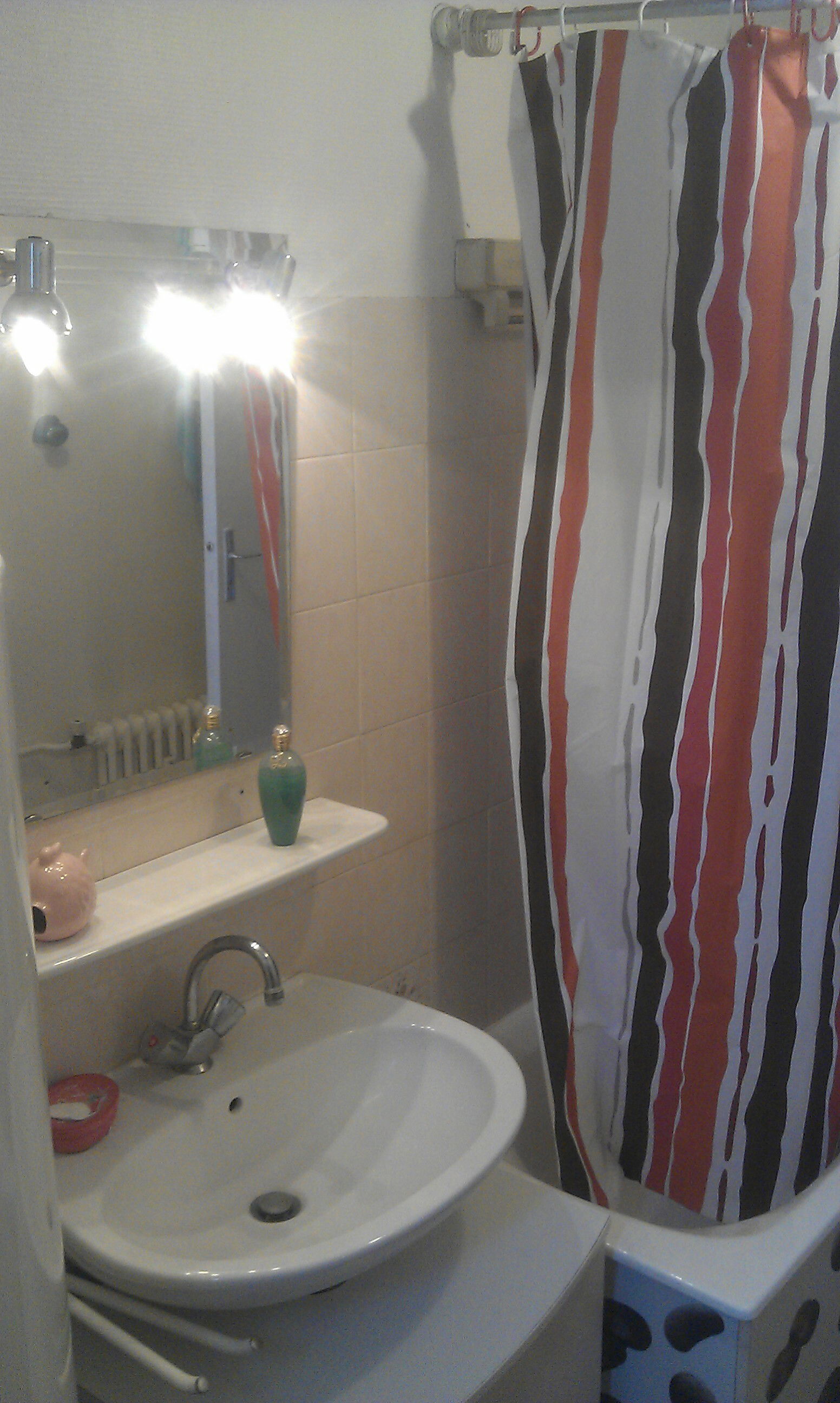 Chambre Chez L'habitant Paris 71533