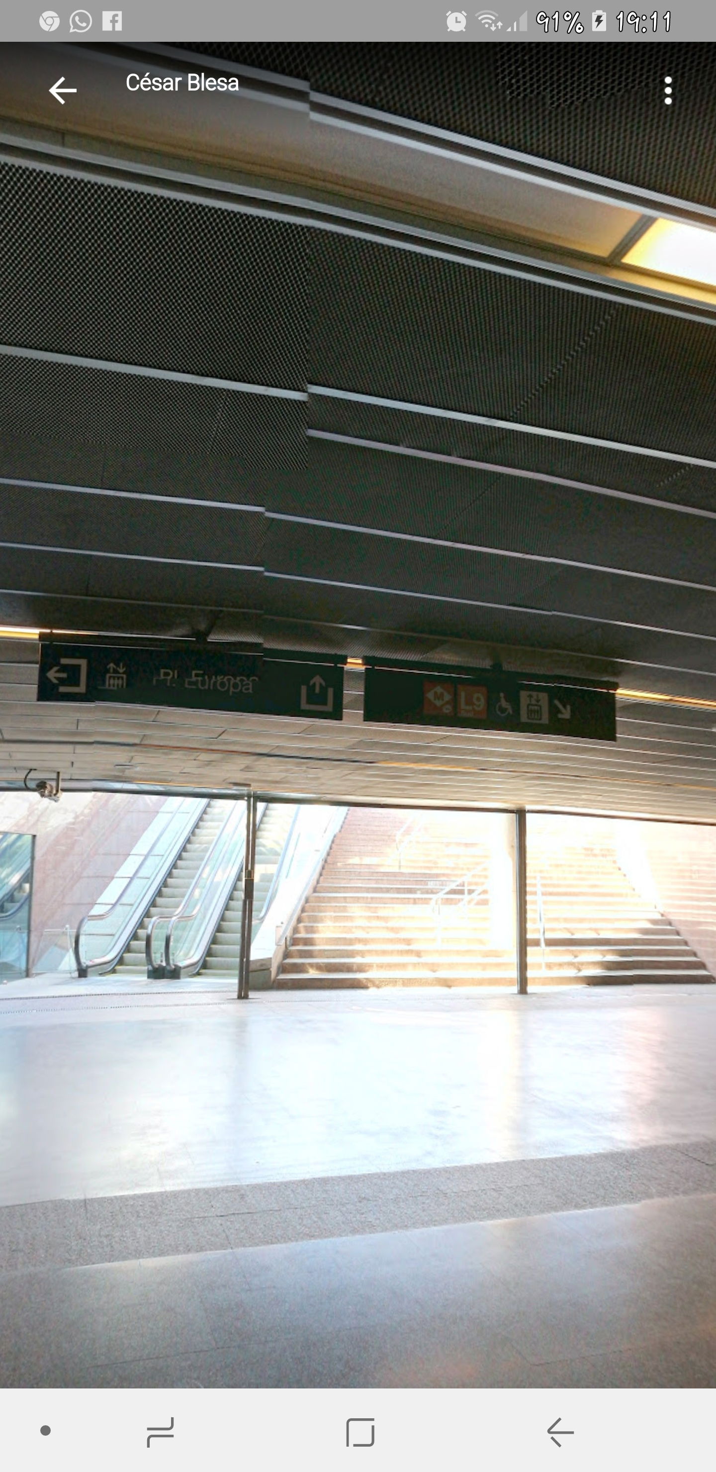 Kolokasie L'Hospitalet de Llobregat 129774