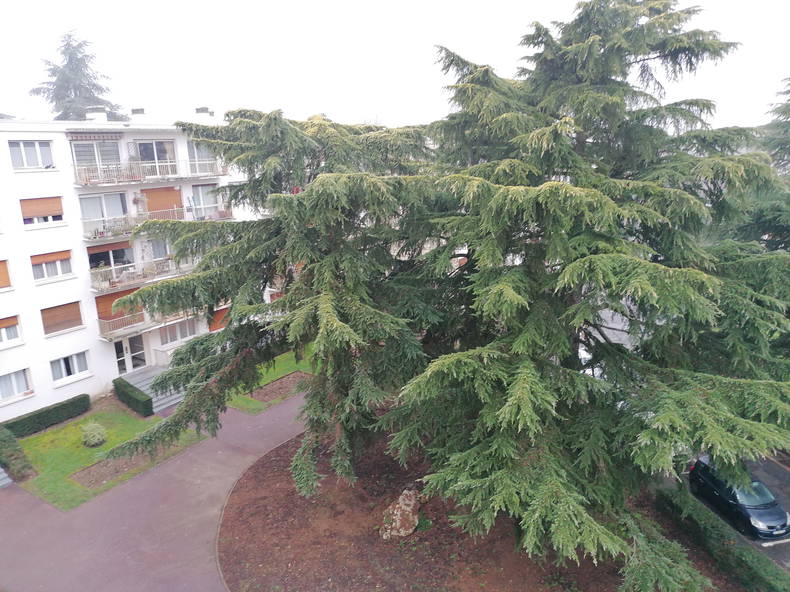 Homestay Évry 286785-3