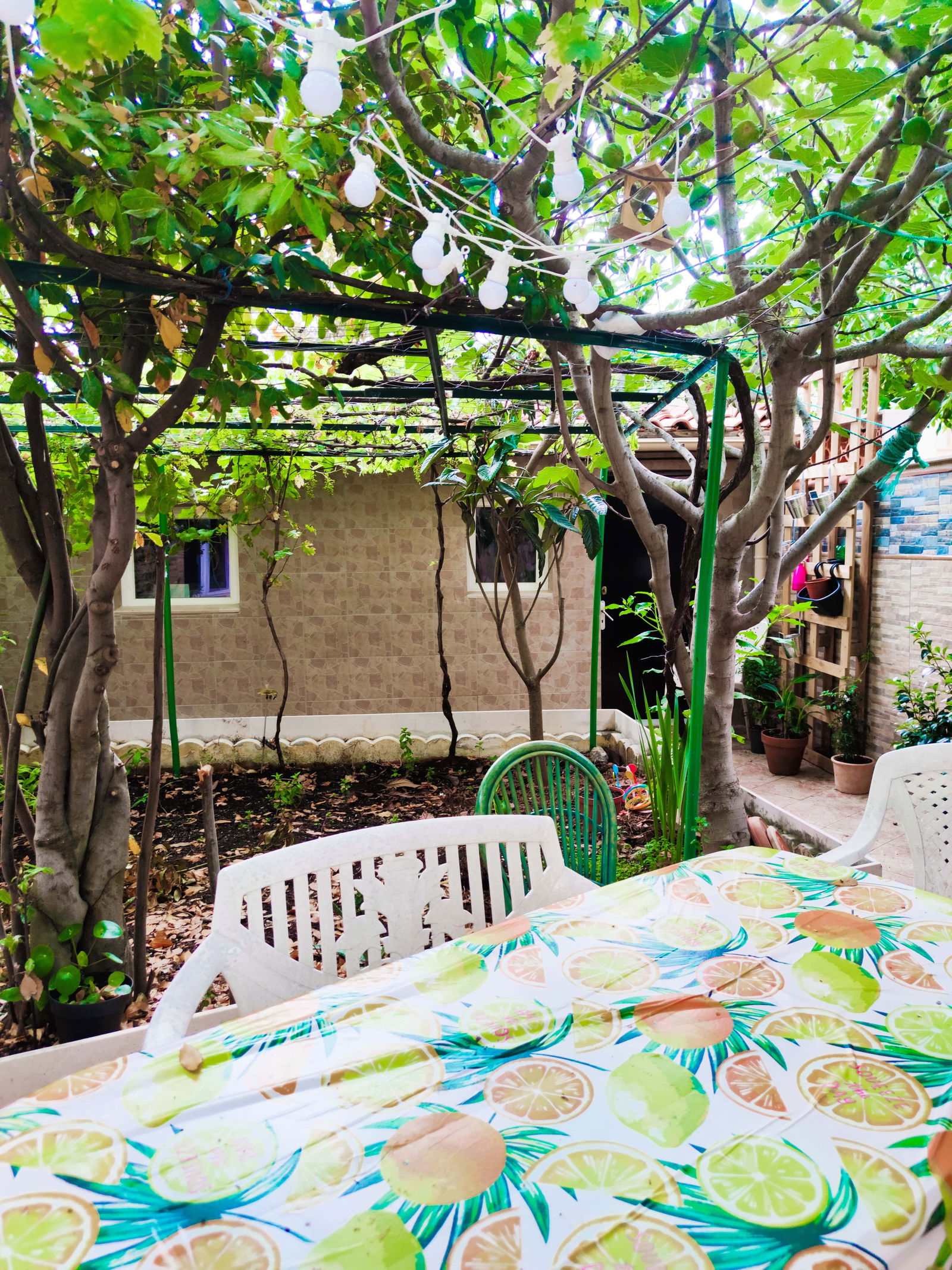 Colocação Toulouse 250225