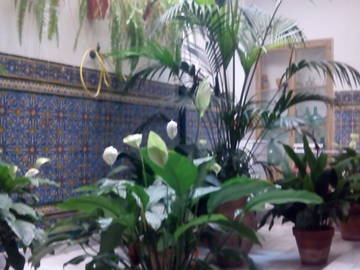 Chambre Chez L'habitant Córdoba 175608-10