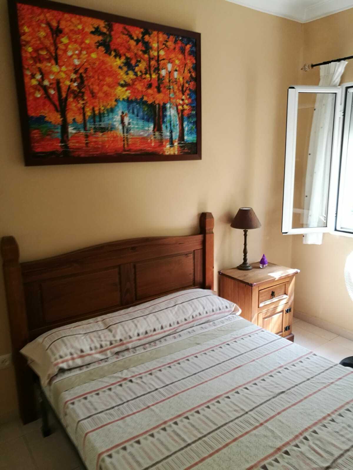 Colocation Sevilla 221841