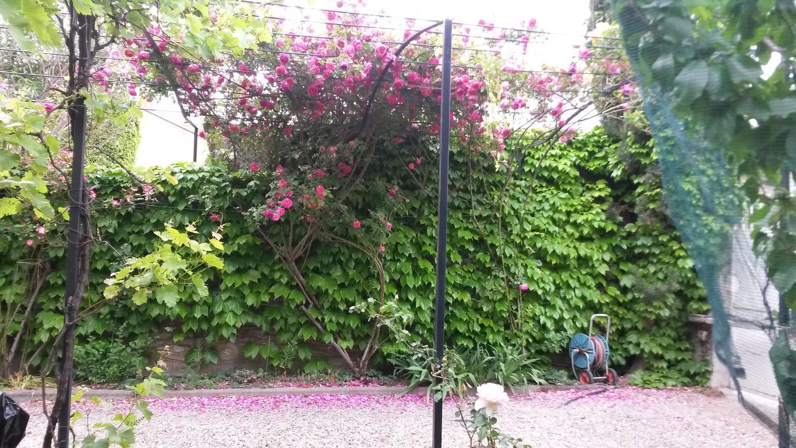 Bed And Breakfast Avignon 203405