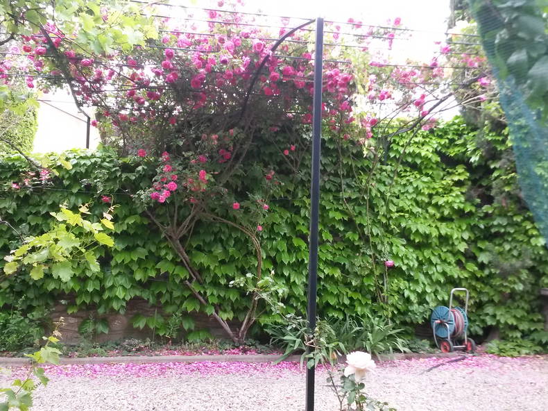 Bed And Breakfast Avignon 203405-5