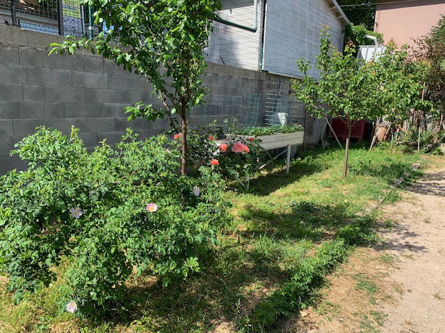 Homestay Lamalou-les-Bains 190019