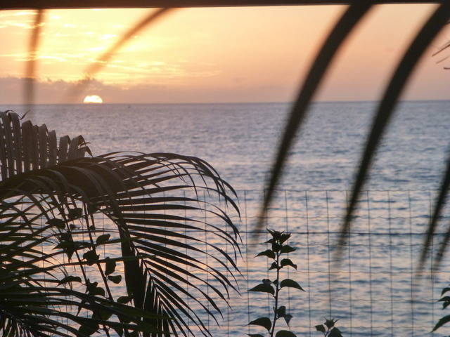 Entire Home Saint-Gilles-les-Bains 40969-4