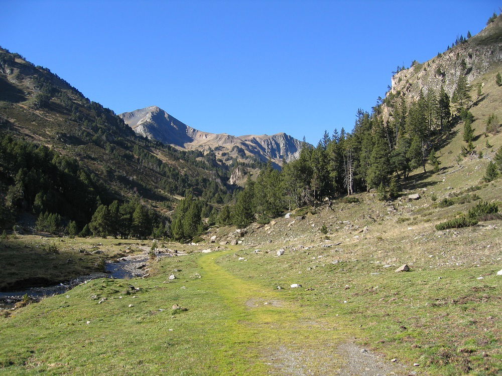 Tutta La Casa Les Angles 174092