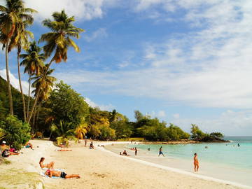 Logement Entier Rivière-Pilote 161721-7