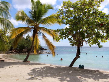 Logement Entier Rivière-Pilote 161721-8