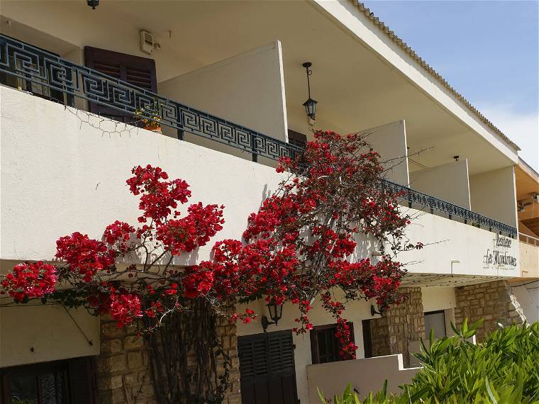 Homestay Hyères 127141