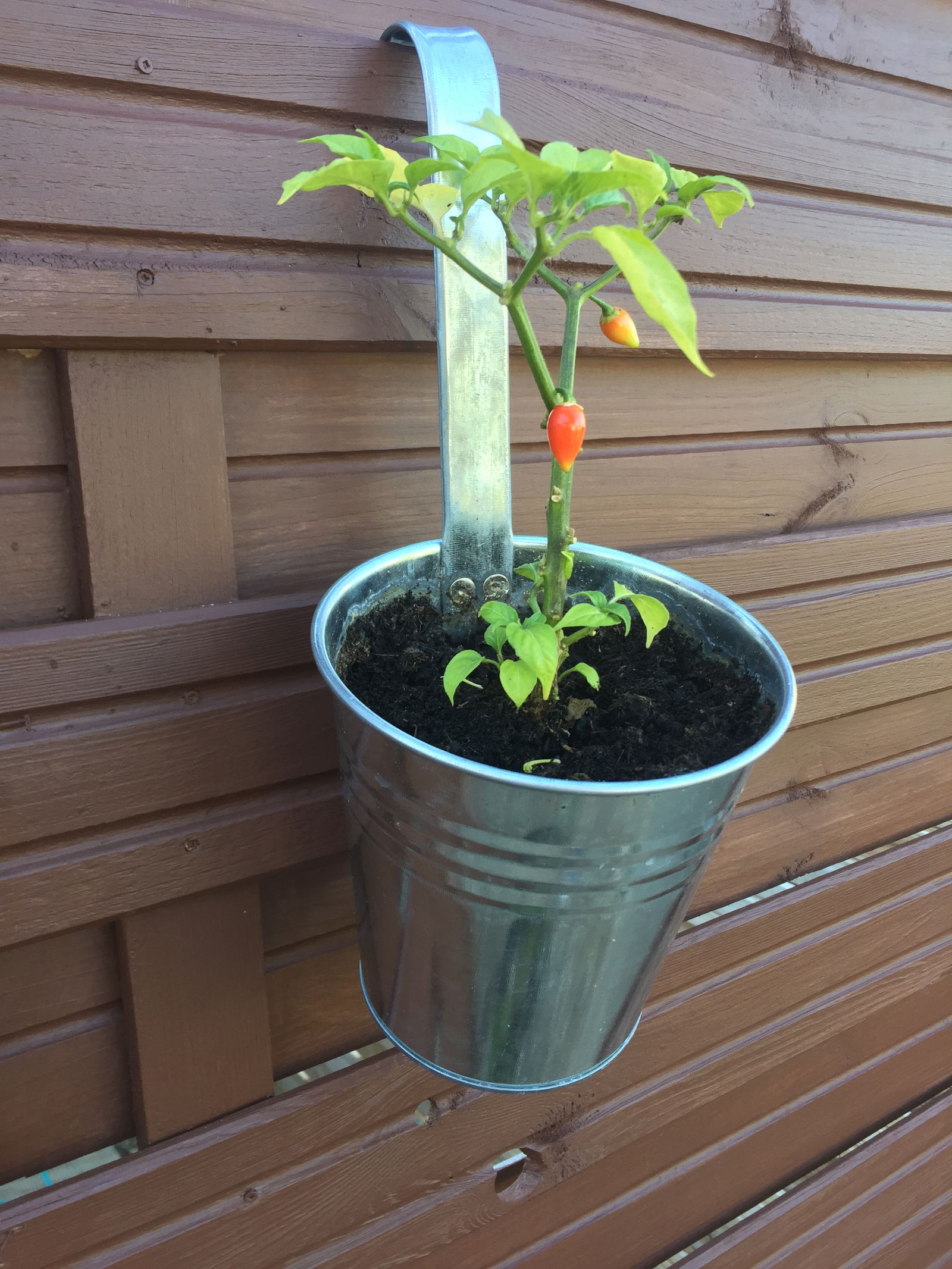 Estudio Independiente Senlis 234304