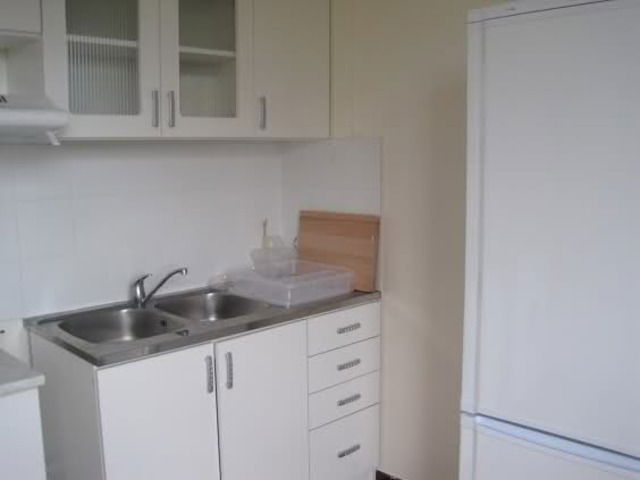 Kolokasie Créteil 18956